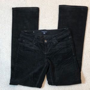 Tommy Hilfiger Lo-rise straight leg corduroy pant